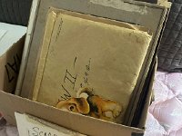 658136737 3354793091364601 7133015586137878652 n