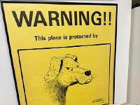 667803357 3368399750003935 8784184382254074163 n