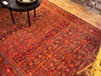 668889744 3368403666670210 8813212818072022297 n