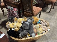 825327469 3556288594548382 119305841584298269 n